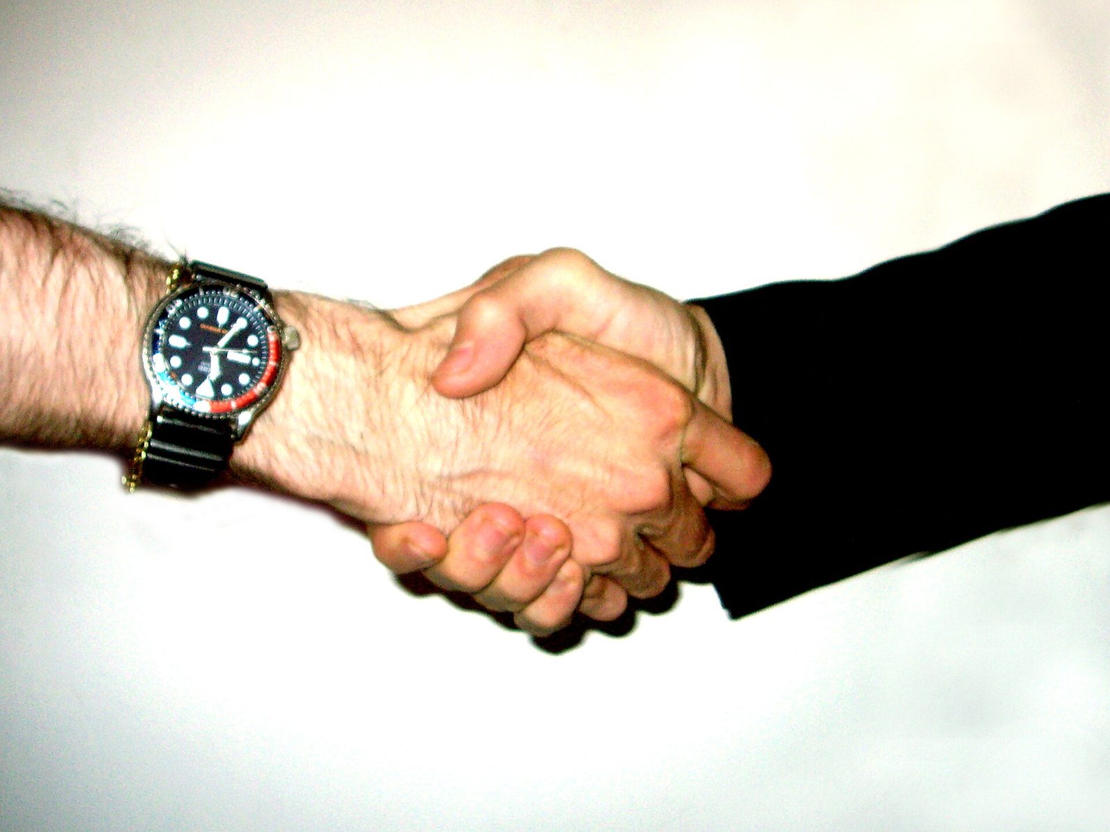 A close-up of two people shaking hands